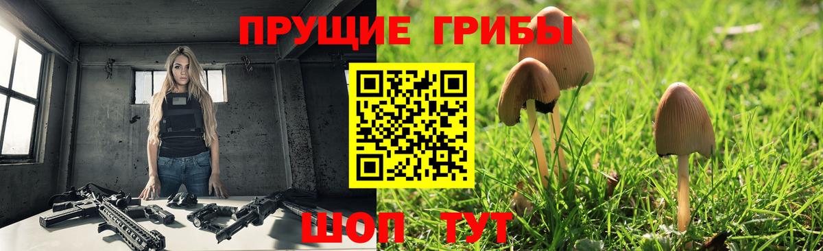 Псилоцибиновые грибы мухоморы  Галлюциногенные грибы Psilocybe  Сергиев Посад  Вход с VPN 