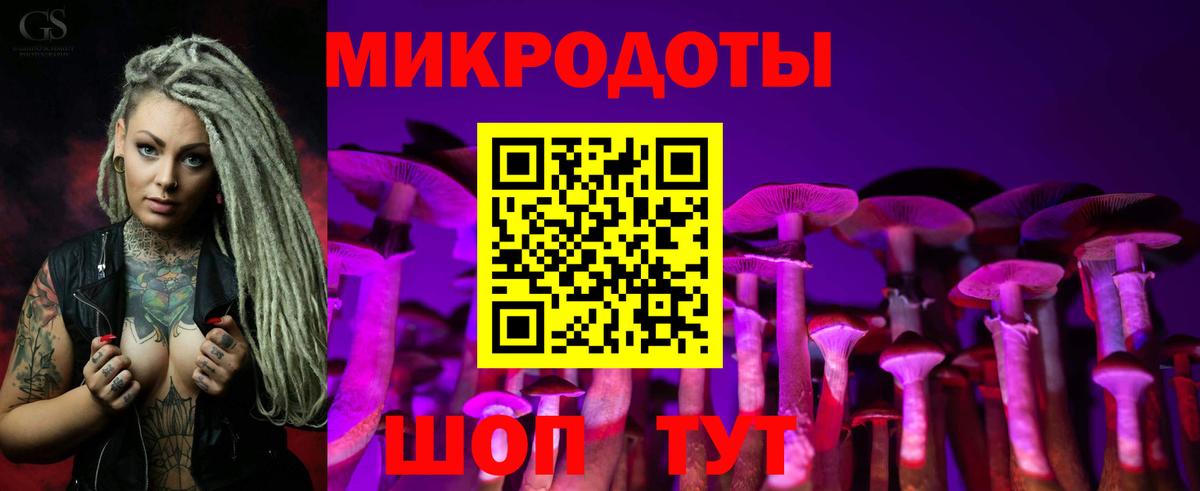 Галлюциногенные грибы прущие грибы Сергиев Посад